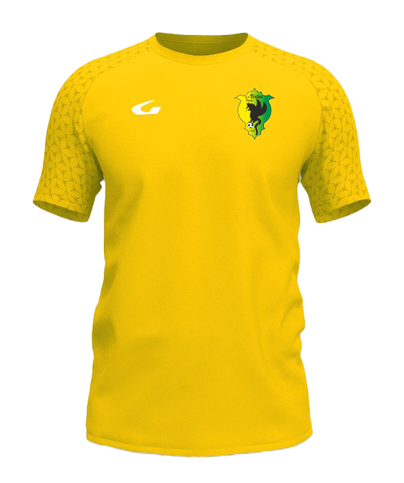 MAGLIA ALLENAMENTO